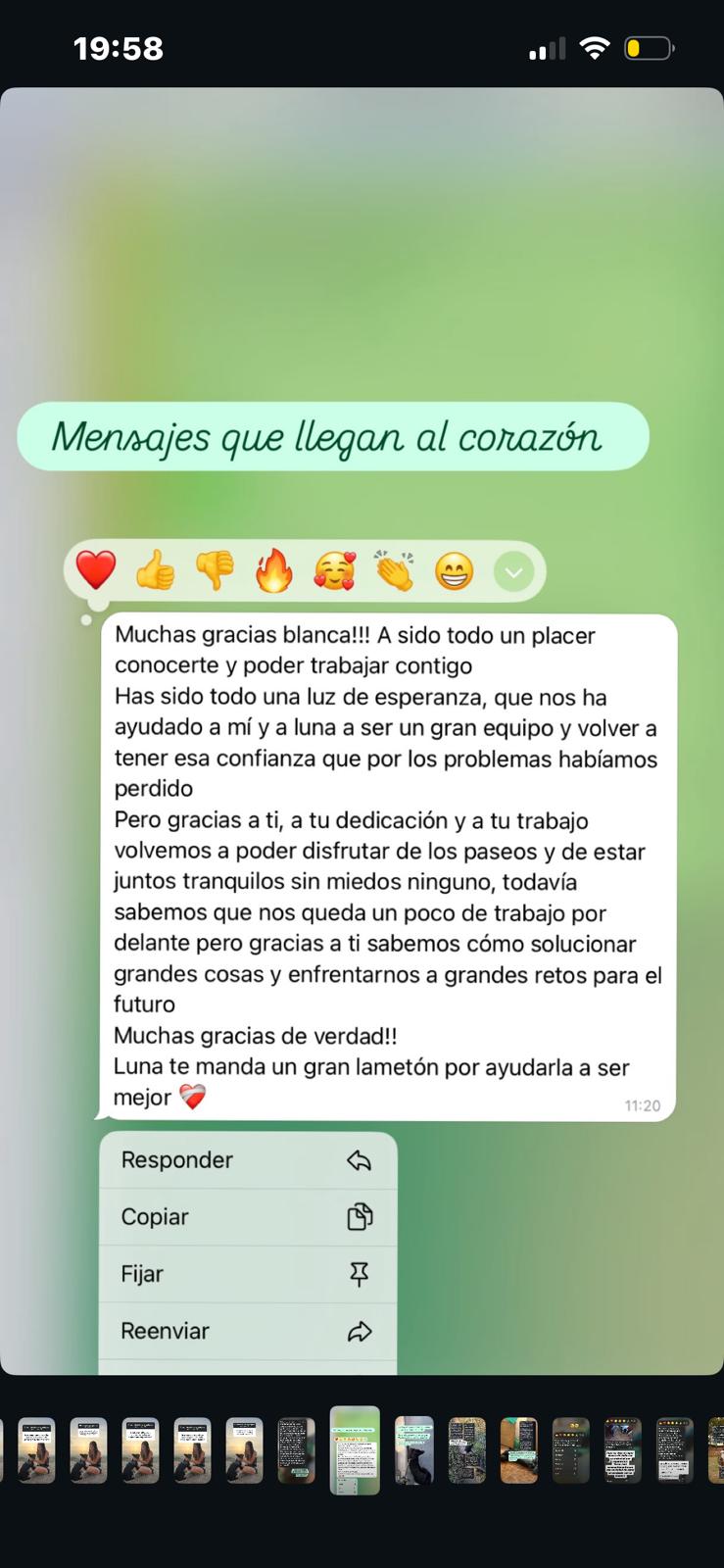 Mensaje real de la familia de Luna sobre su proceso con Animanía