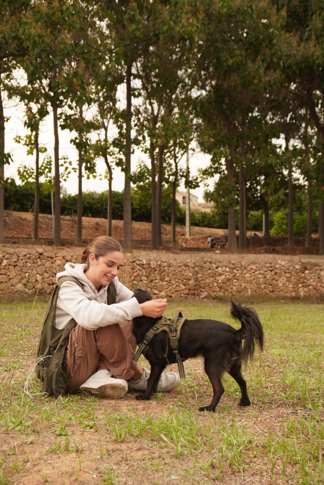 Trabajo de paseo con Animanía