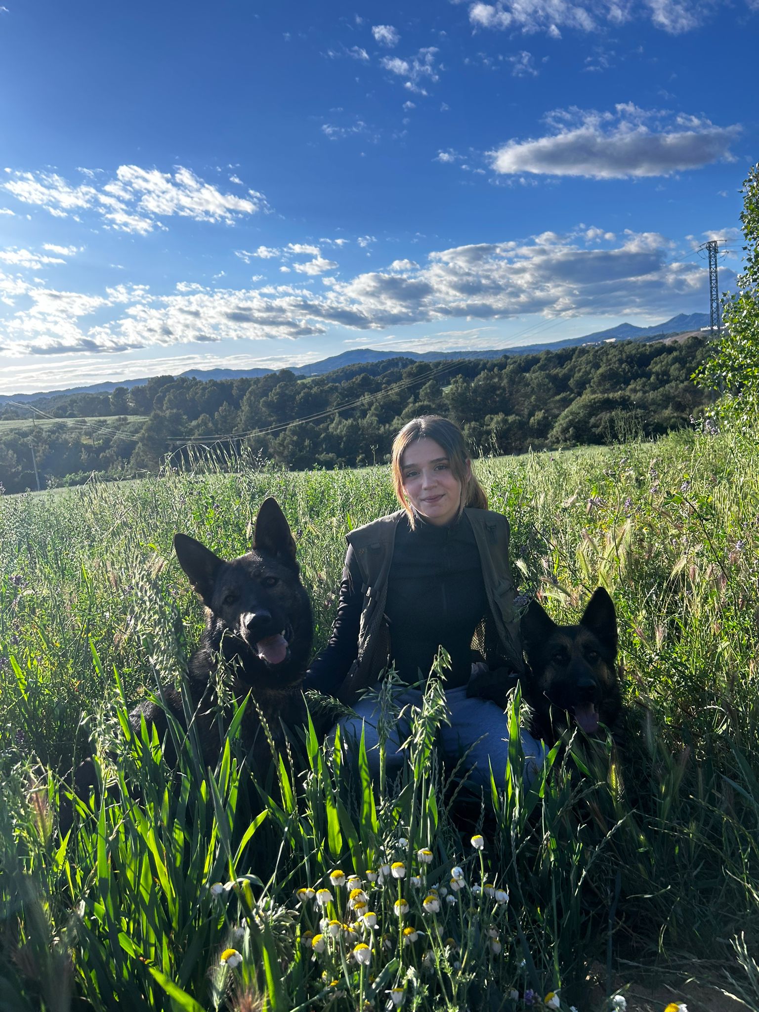 Convivencia y trabajo con perros