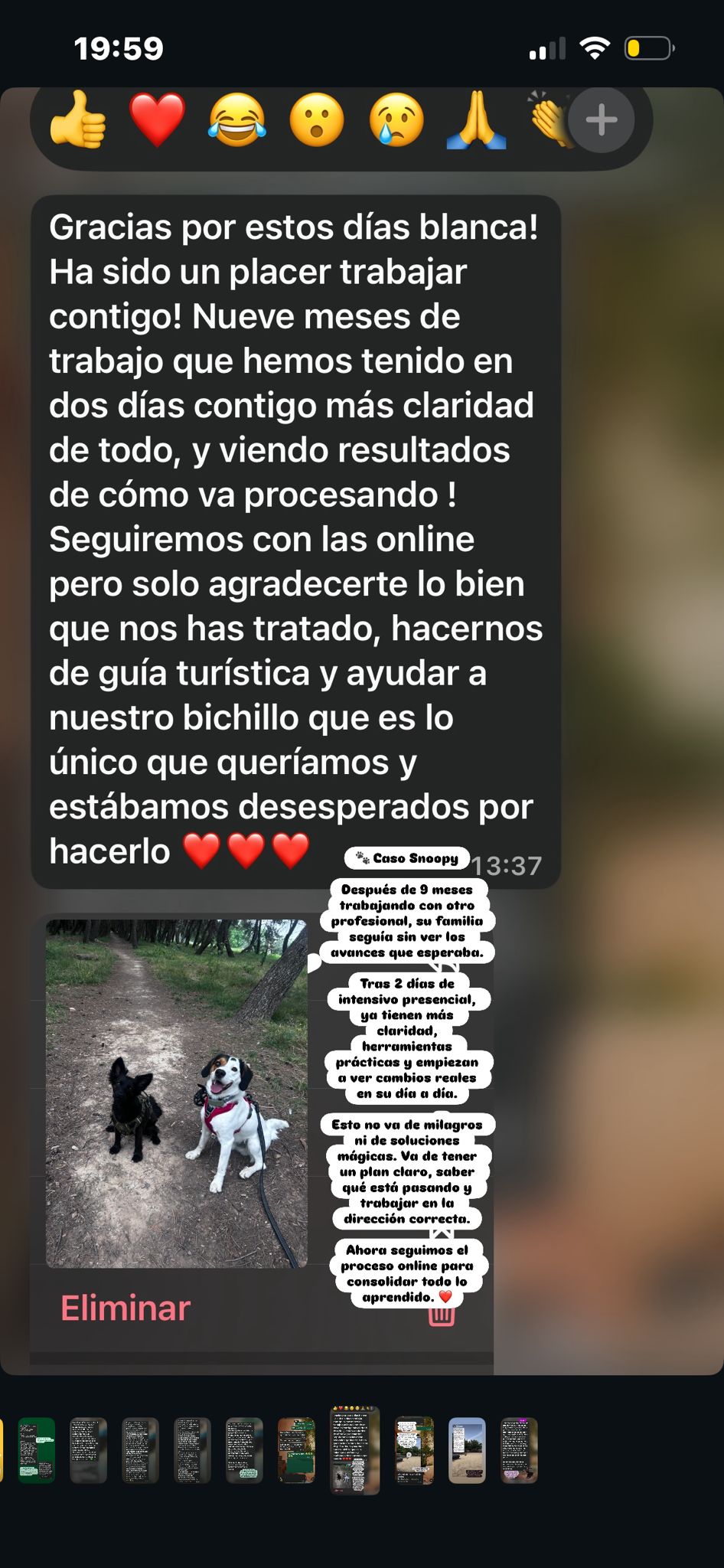 Opinión real del caso Snoopy tras un intensivo presencial